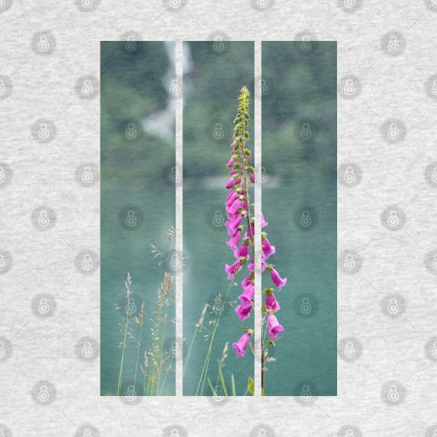 Wonderful landscapes in Norway. Blooming colorful lupine flowers in Norway in the wild grass. Blur background. Summer cloudy day(vertical) by fabbroni-art